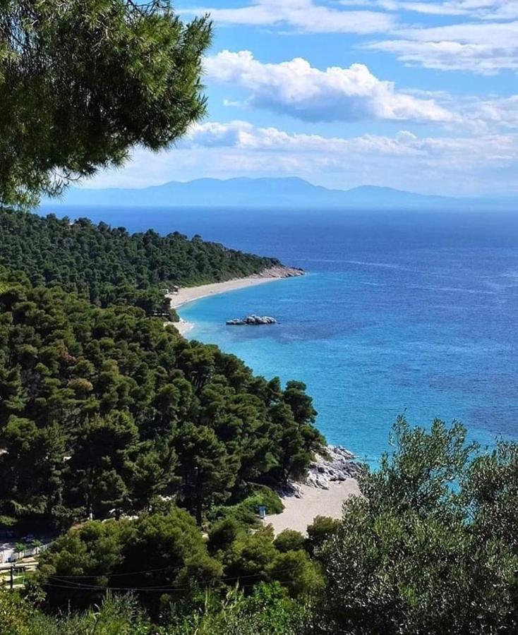 Skopelos Evergreen Apartments Stafylos Exterior photo